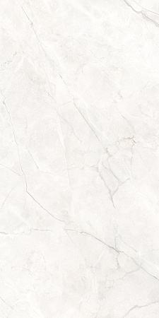 Керамогранит Laparet Connect Pearl светло-серый SG50004720R 59,5х119,1 матовый