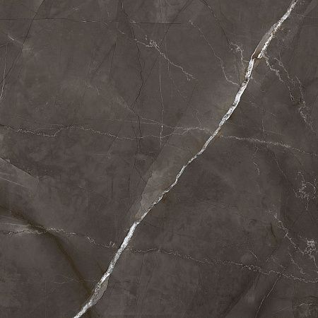 Керамогранит Laparet Timeless Marrone коричневый LP6060G0061R 59,5х59,5 матовый карвинг