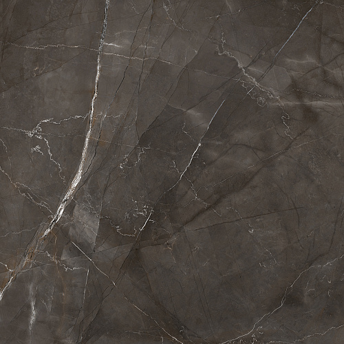 Керамогранит LP6060G0061R Timeless Marrone матовый 59,5х59,5, Laparet