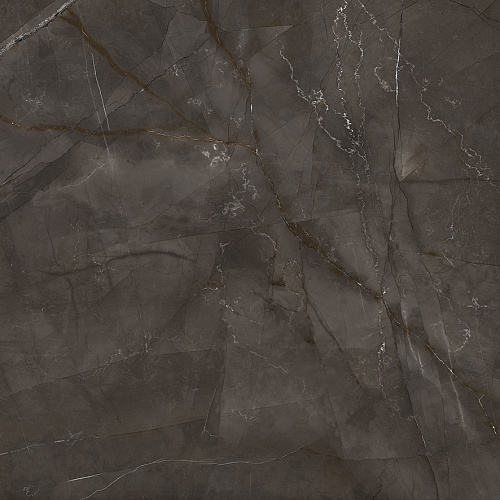 Керамогранит LP6060G0061R Timeless Marrone матовый 59,5х59,5, Laparet