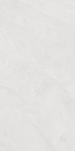 Керамогранит LP6012G0171R Porter Silver PRO матовый 59,5х119,1, Laparet