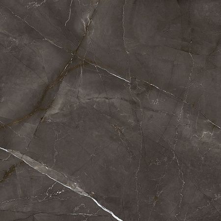 Керамогранит Laparet Timeless Marrone коричневый LP6060G0061R 59,5х59,5 матовый карвинг