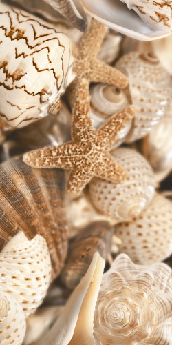 Е1141 Sea Breeze (Си Бриз) декор №1(панно) 30х60, Golden Tile