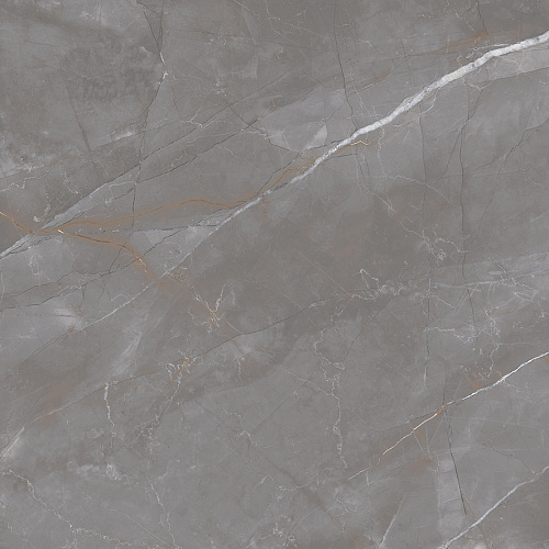 Керамогранит LP6060G0051R Timeless Taupe матовый 59,5х59,5, Laparet