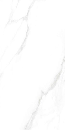 Керамогранит Ceradim Carrara Excellent Silver белый 60х120 Матовый