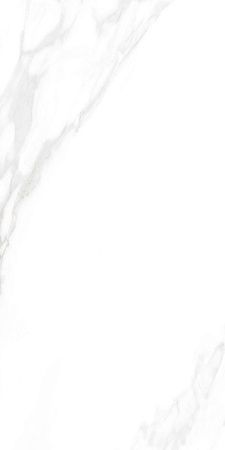 Керамогранит Ceradim Carrara Excellent Silver белый 60х120 Матовый