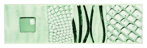 09CR1131G0080007 Каррара зеленая глянцевый бордюр 20х3,5 Евро-Керамика