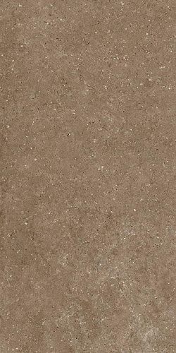 Керамогранит Гранитея G214 Arkaim (Аркаим) Brown 120х60 матовый