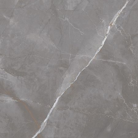 Керамогранит Laparet Timeless Taupe серо-бежевый LP6060G0051R 59,5х59,5 матовый карвинг