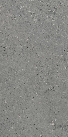 Керамогранит Гранитея G213 Arkaim (Аркаим) Grey 120х60 матовый