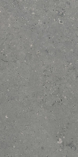 Керамогранит Гранитея G213 Arkaim (Аркаим) Grey 120х60 матовый