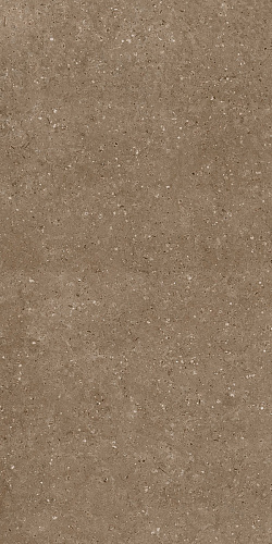 Керамогранит Гранитея G214 Arkaim (Аркаим) Brown 120х60 матовый